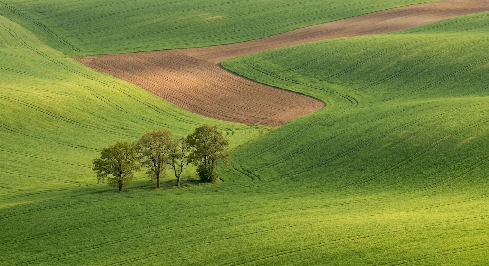 Rolling green farmland hills seen from above.