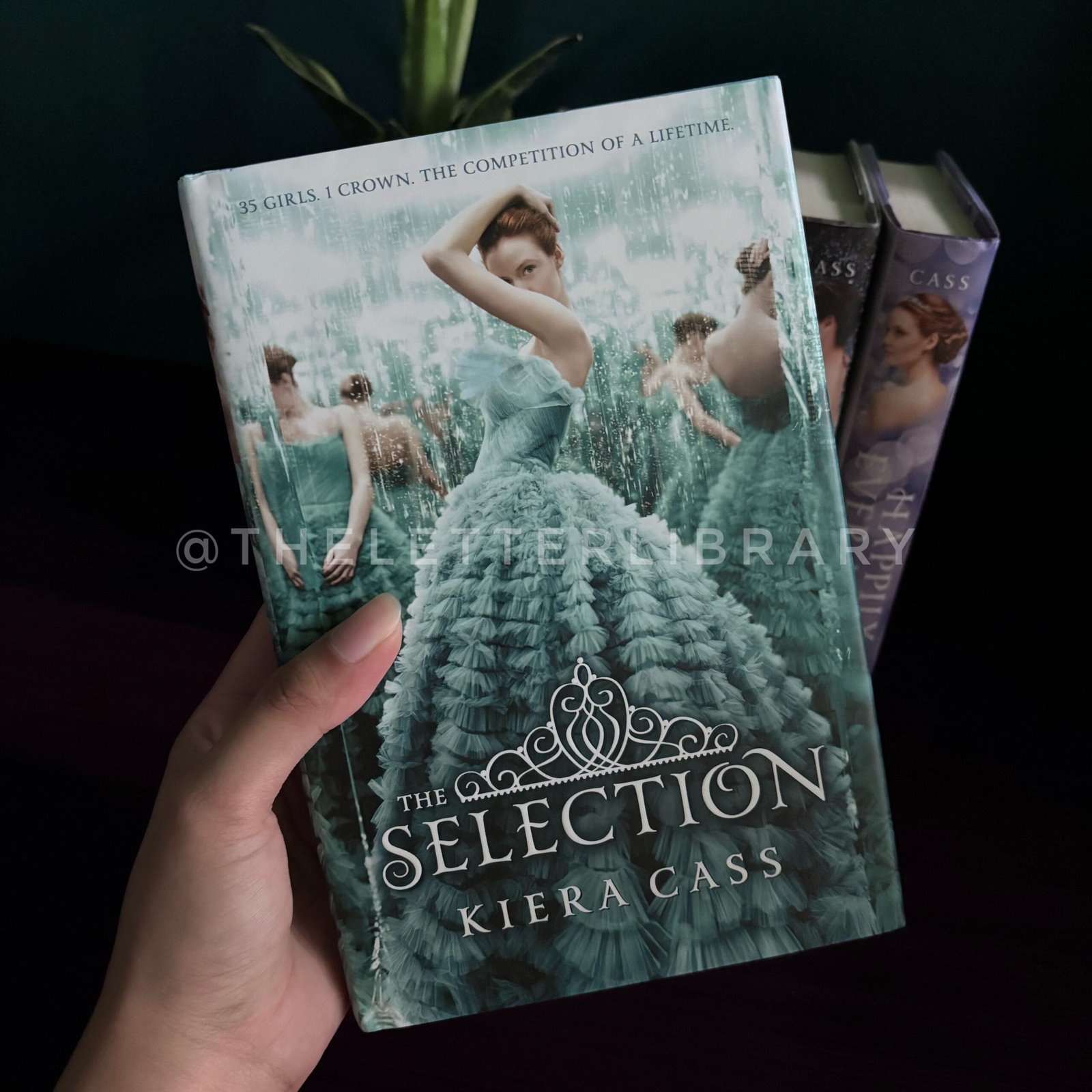 Sample Post (1)